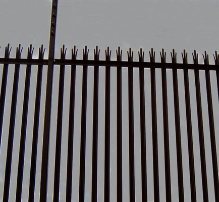 Le PVC a enduit la palissade en métal clôturant la barrière de jardin de modèle du modèle D de W