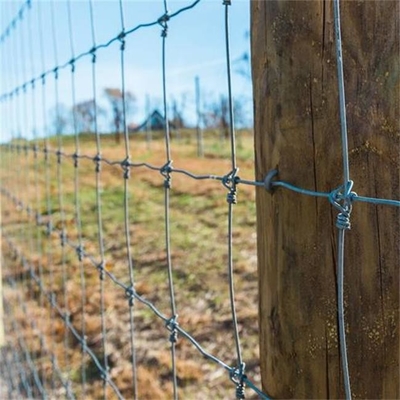 ISO9001 a galvanisé des bétail cultivant le fil Mesh Fence 200m/Roll