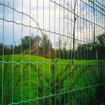 Le PVC de TLWY a enduit Mesh Fencing soudé 9.0mm Holland Fence