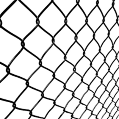 Grillage hexagonal de Mesh Fence Pvc Coated Hex de fil de l'anticorrosion BWG14-BWG27