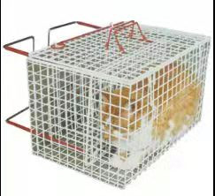 le PVC extérieur en métal de grillage de 2mm a enduit la cage galvanisée d'affichage d'animal familier