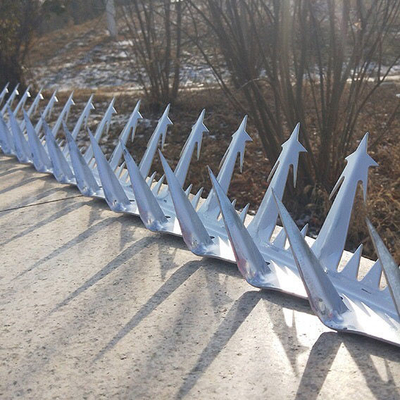 Montée de Spikes For Walls de barrière de sécurité à la maison de fil de fer anti