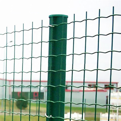 PVC ISO9001 a enduit le type d'euro de la taille 60cm-200cm de Holland Wire Mesh Fence Netting